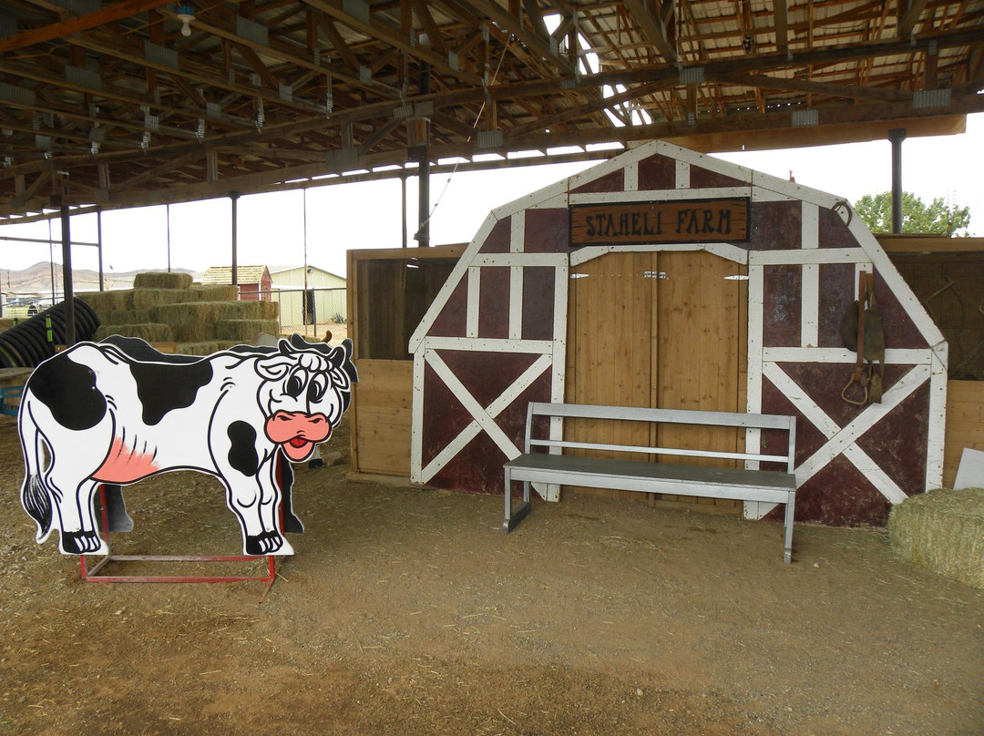 Staheli Family Corn Maze-Washington必去景点