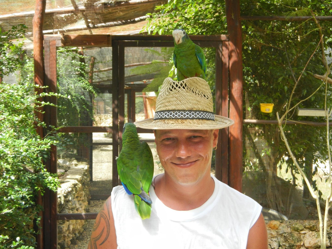 Tanama Jungle Ranch-拉罗马纳必去景点