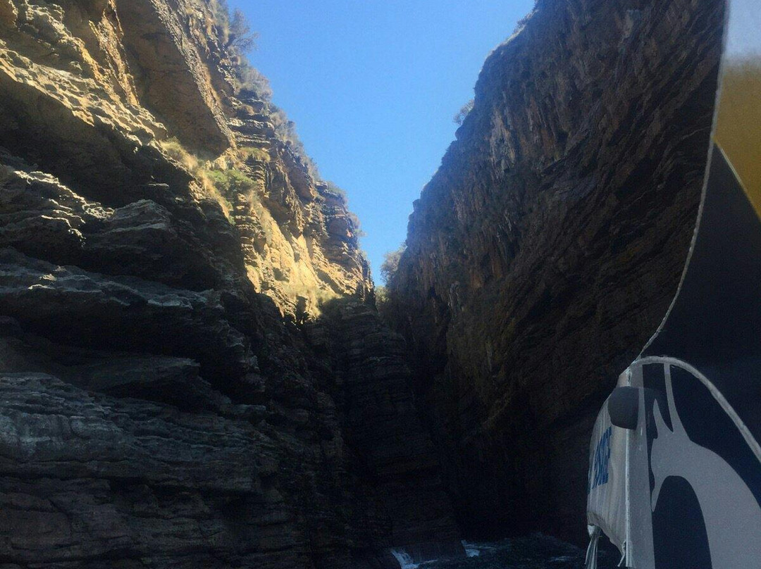 杰维斯湾野生巡航-赫斯基森必去景点