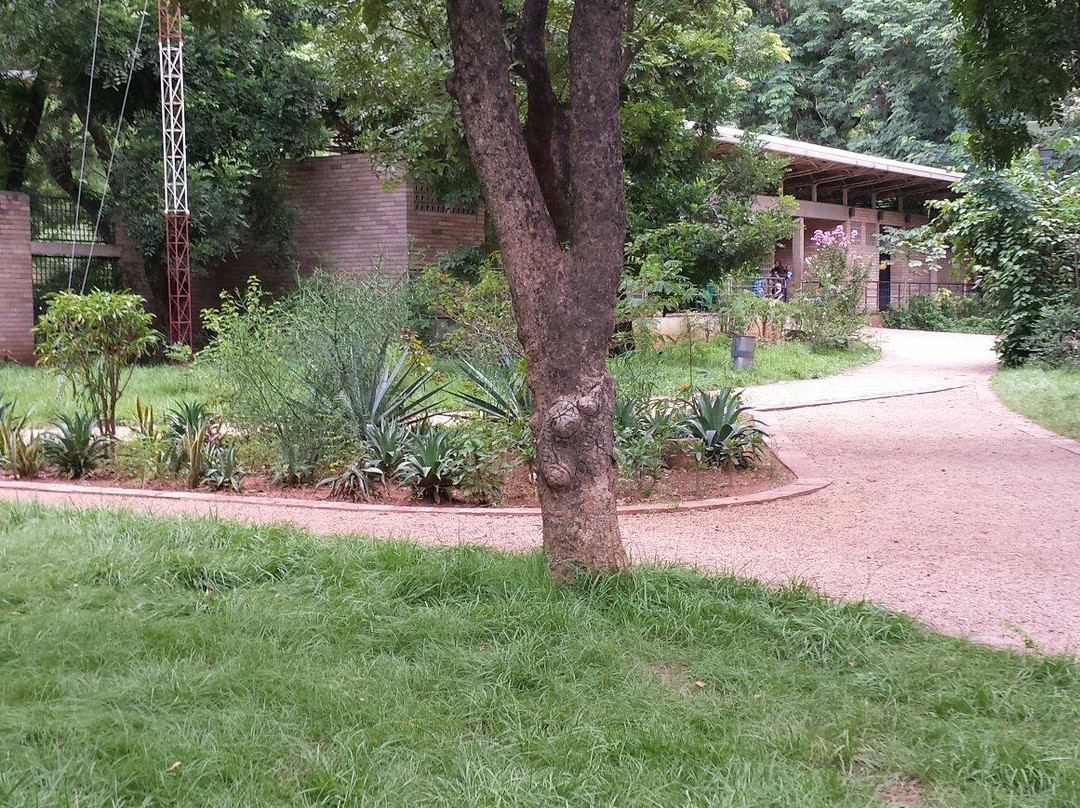 Musee National de Bamako-巴马科必去景点
