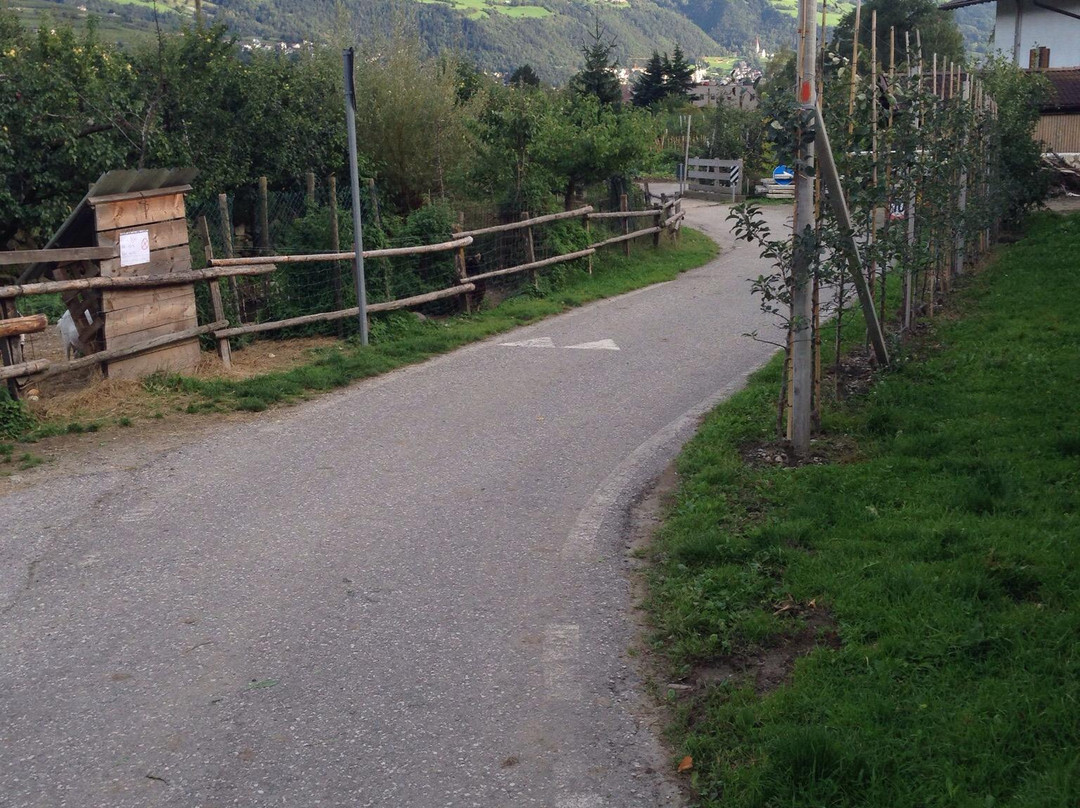 Pista ciclabile Alta Val d’Isarco景点图片