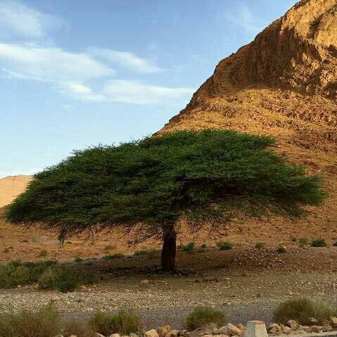 Town Square-Tata必去景点