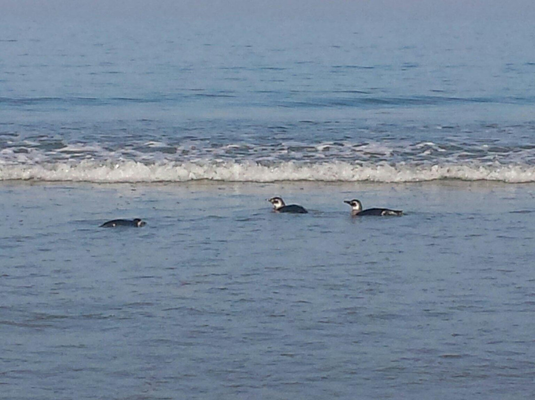 Forte dos Andradas-瓜鲁雅必去景点