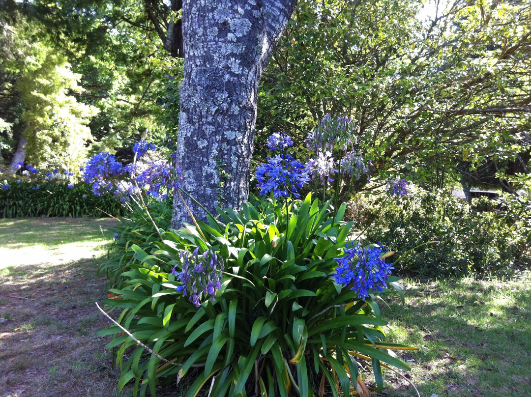 Quinta da Junta Garden-Santo Antonio da Serra必去景点