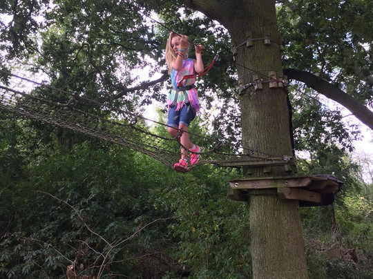 Jungle Parc - Northampton-韦灵伯勒必去景点