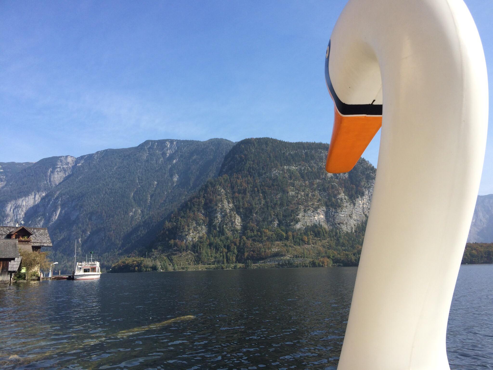 Halstatt House Guest House-官方