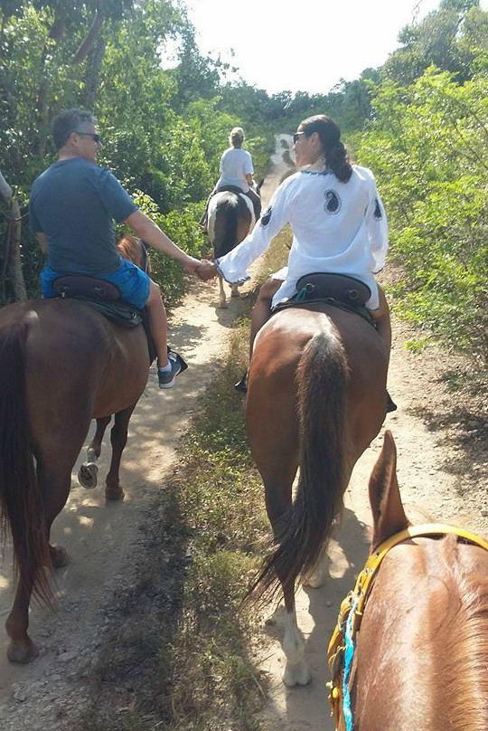 Oceanview Farm-Governor's Harbour必去景点