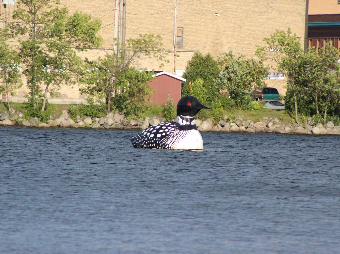 Giant Loon-Virginia必去景点
