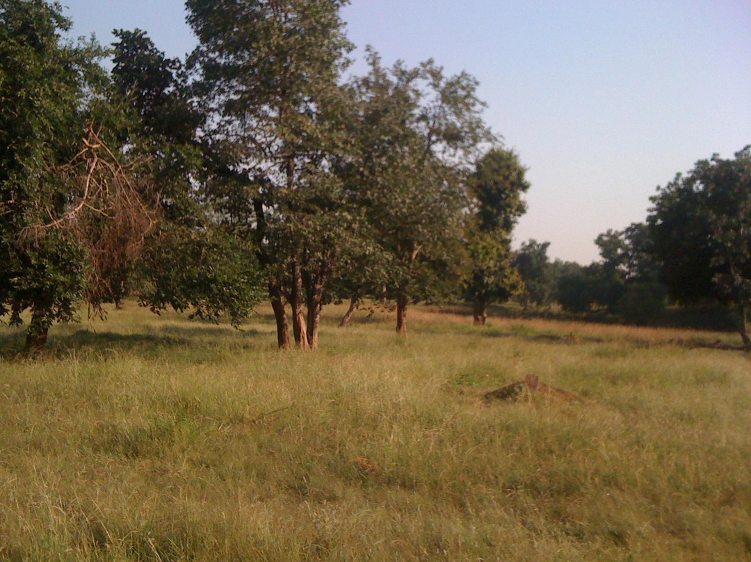 Palamau Tiger Reserve-Palamu District必去景点