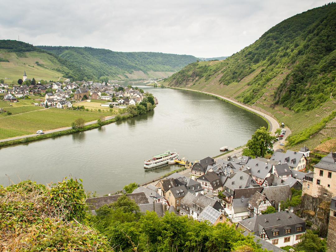 Burg Metternich景点图片