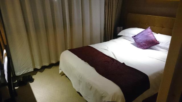 格丽酒店(虹桥机场吴中路店)-客卧