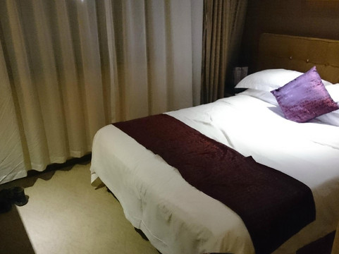 格丽酒店(虹桥机场吴中路店)主图