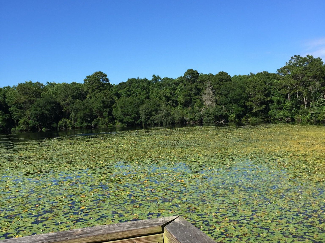 Graham Swamp Preserve景点图片