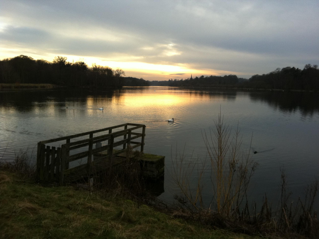 Clumber Park-沃克索普必去景点