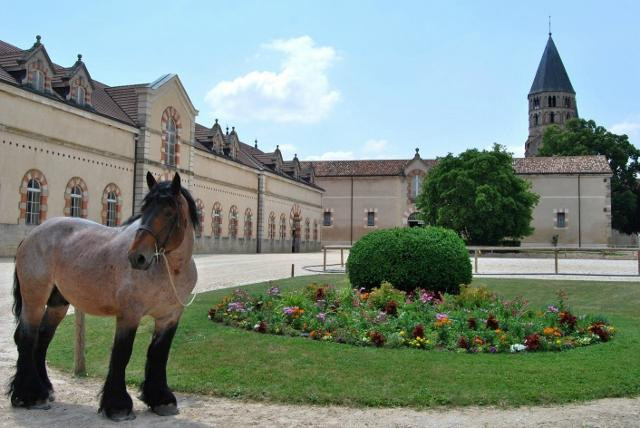 Haras National de Cluny景点图片