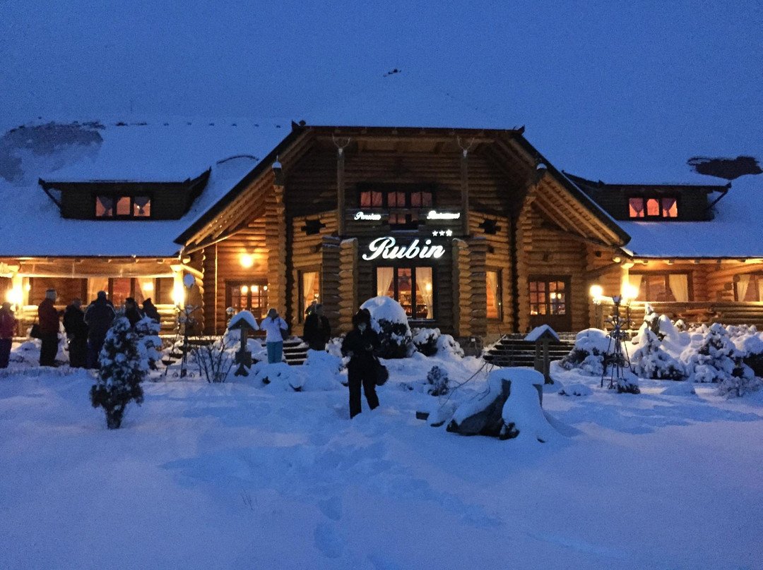 Borzont酒店住宿-Pensiunea Rubin