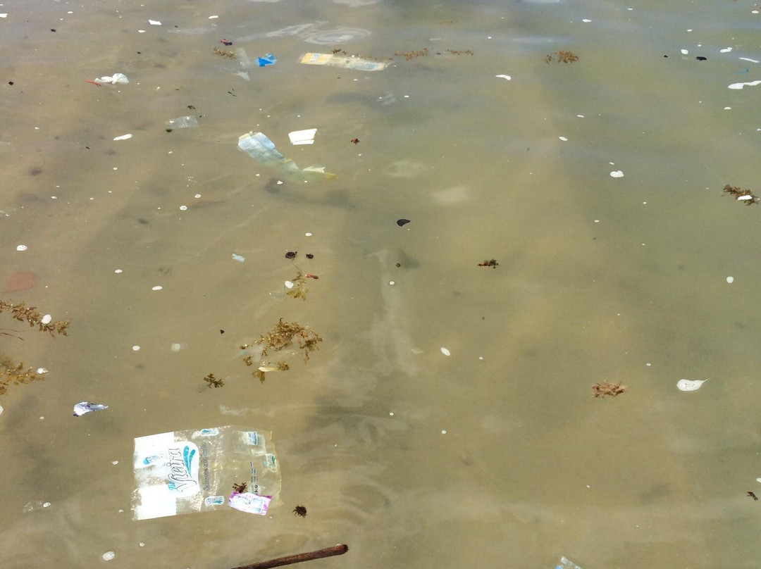 Praia Barra de São Miguel-Barra de Sao Miguel必去景点