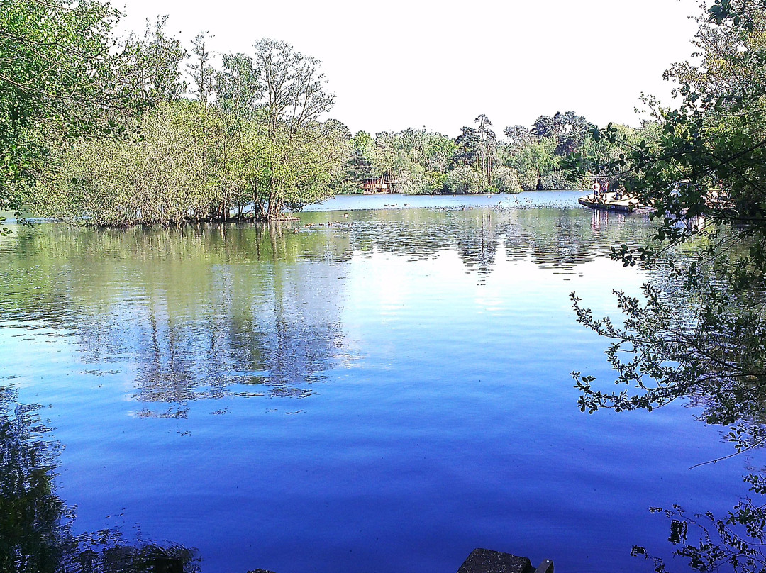 California Country Park-Finchampstead必去景点