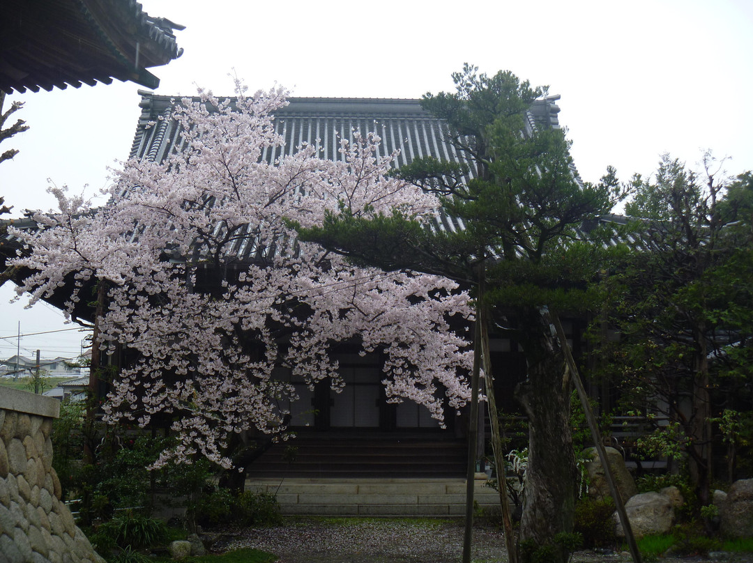 Seikoji Temple景点图片