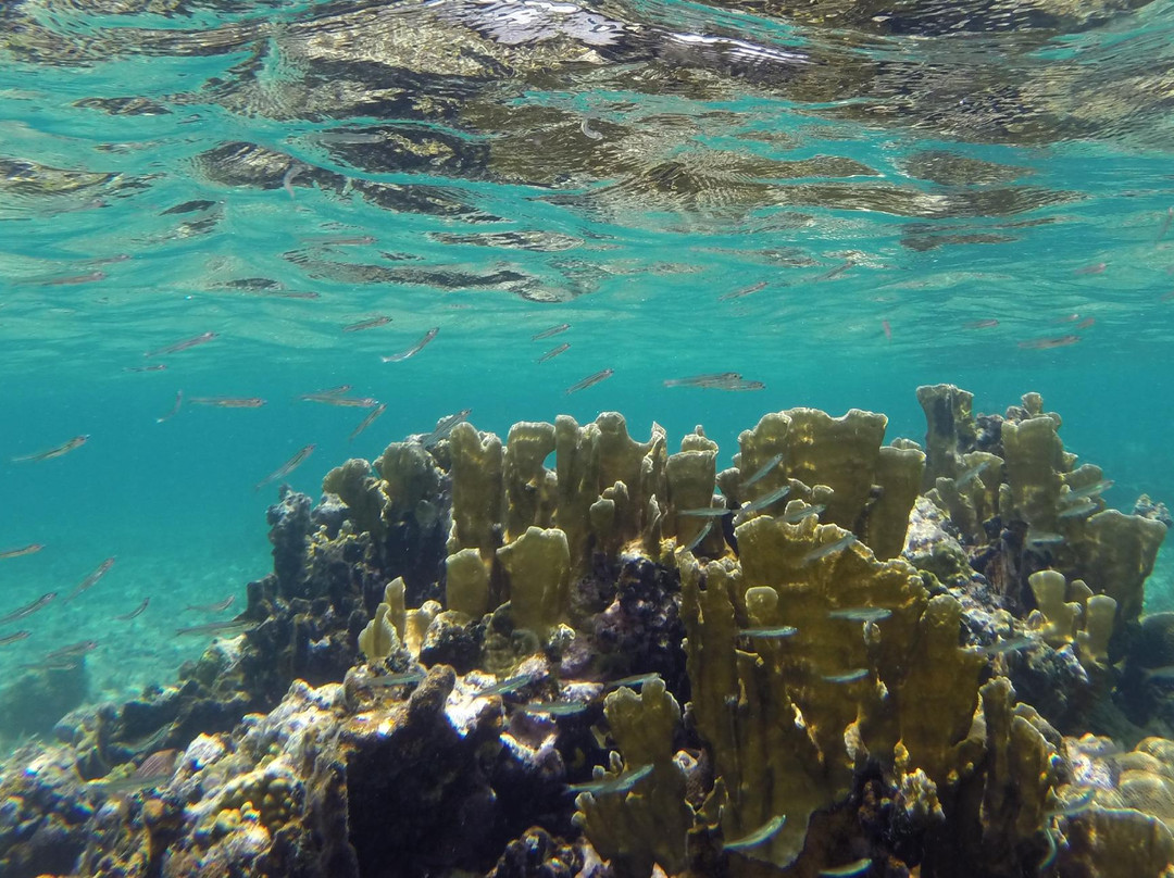 Calico Jack's Pirate Island-内格里尔必去景点