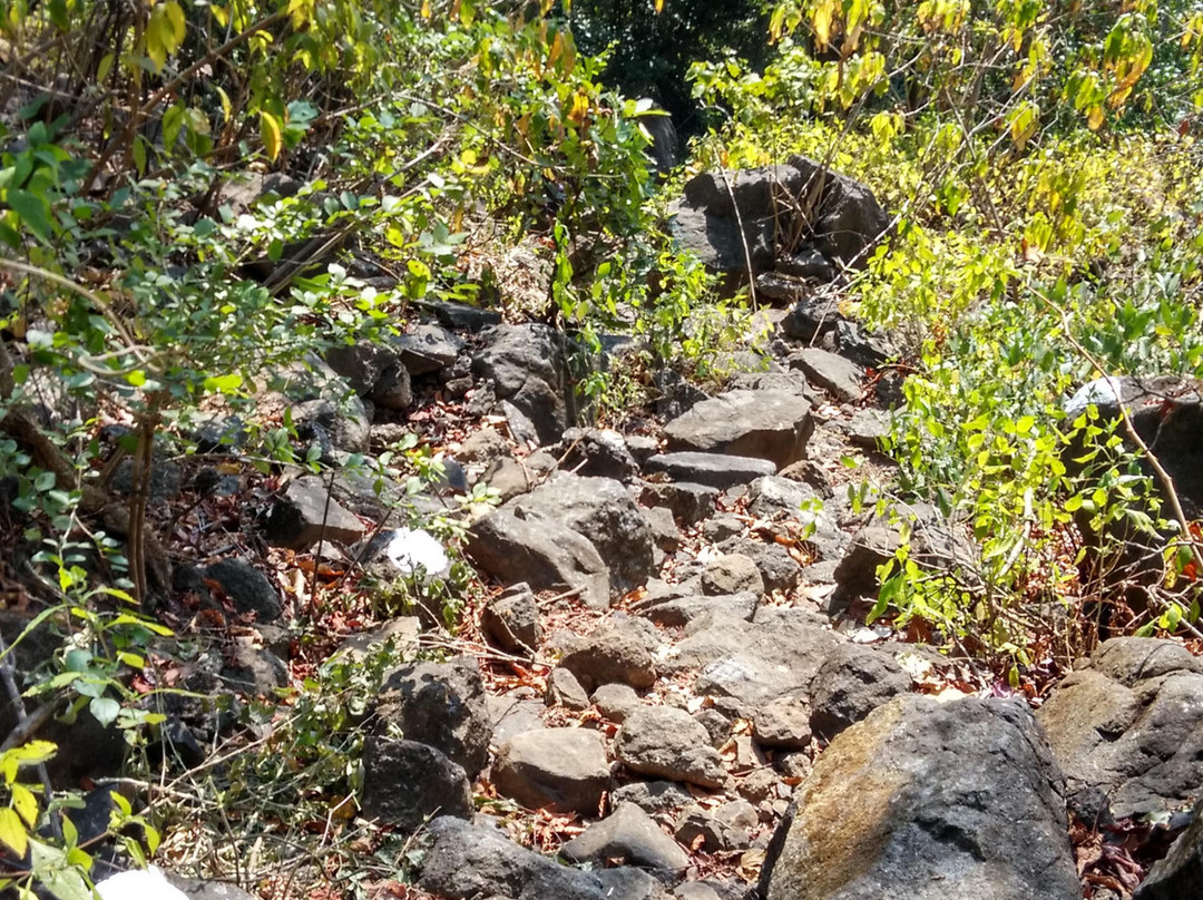 Kohoj Hill景点图片
