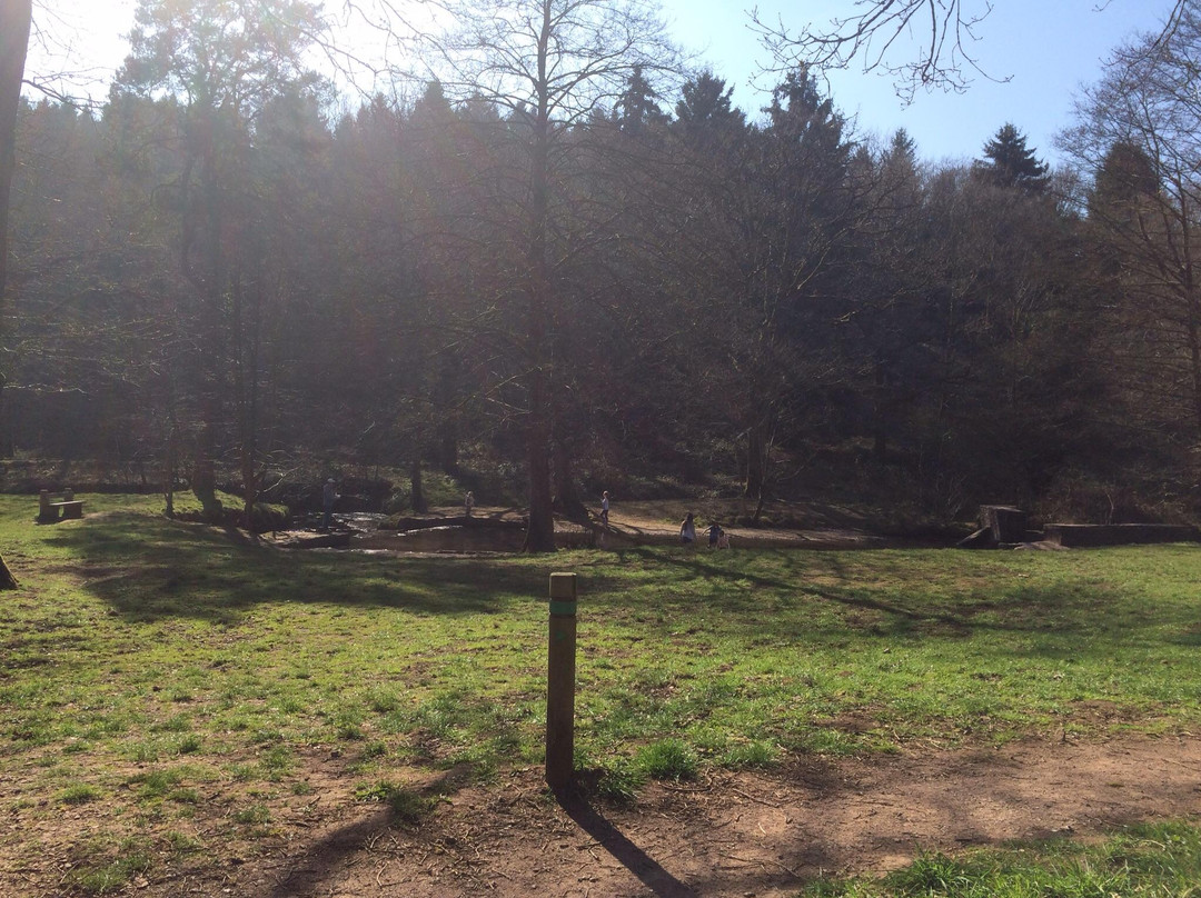 Wenchford Picnic Site景点图片