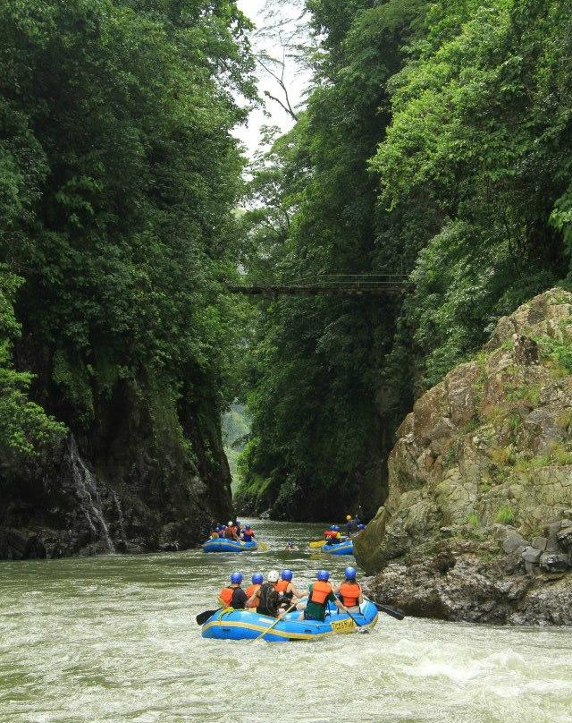 Tico's River Adventures景点图片
