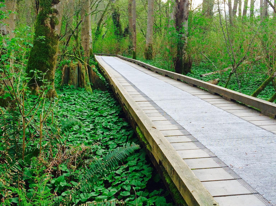 Deer Lake Park-本那比必去景点