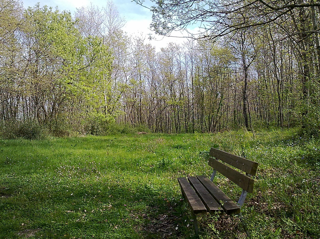 Oasi LIPU - Riserva Naturale Bosco Casale景点图片