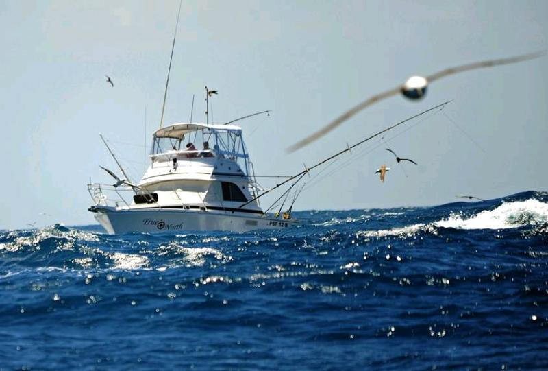 Smart Fishing Charters-西门镇必去景点