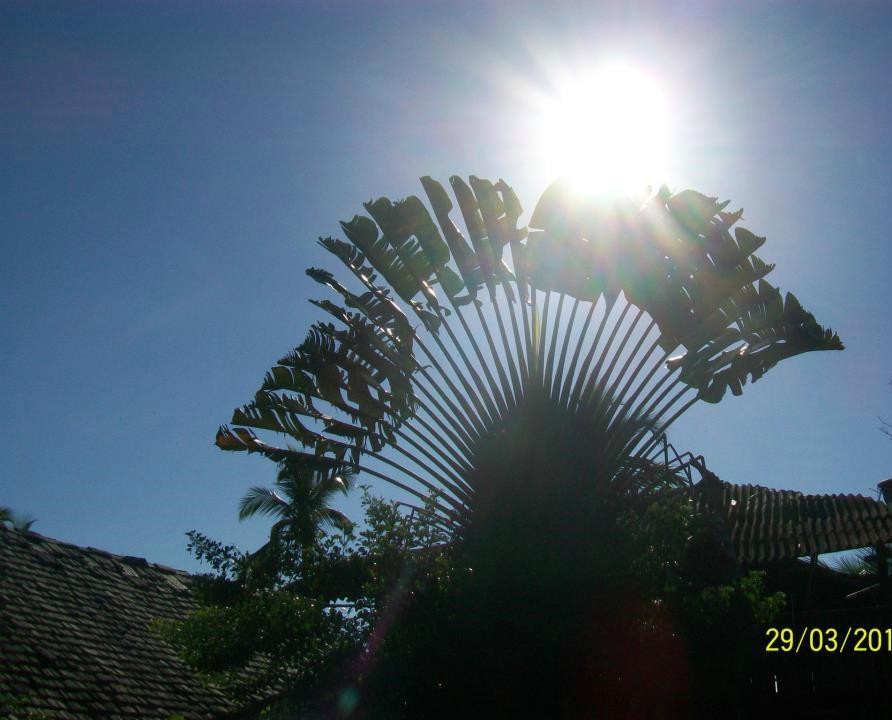 Costa Beach-Itacare必去景点