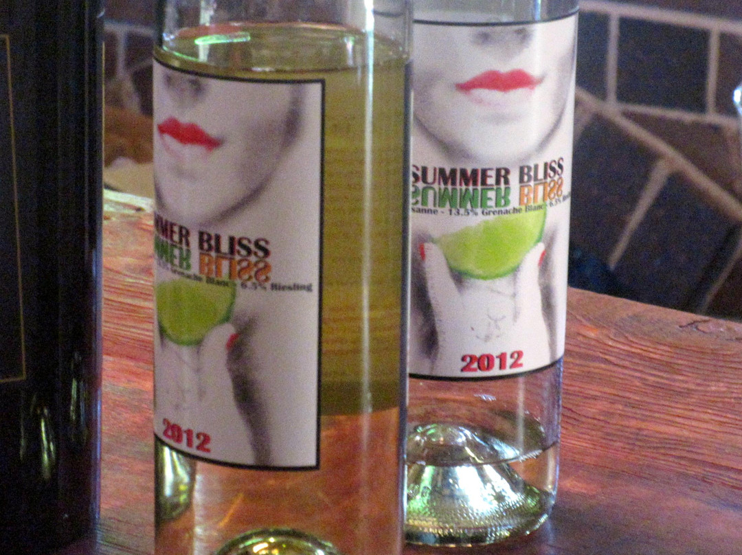 Castillo's Hillside Shire Winery-摩根希尔必去景点