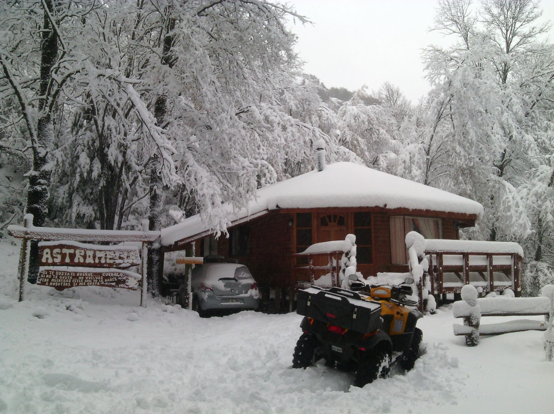 Cabanas Astromelia