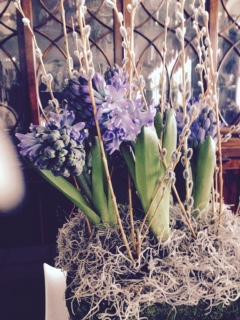 A Vintage Bloom-芝加哥必去景点