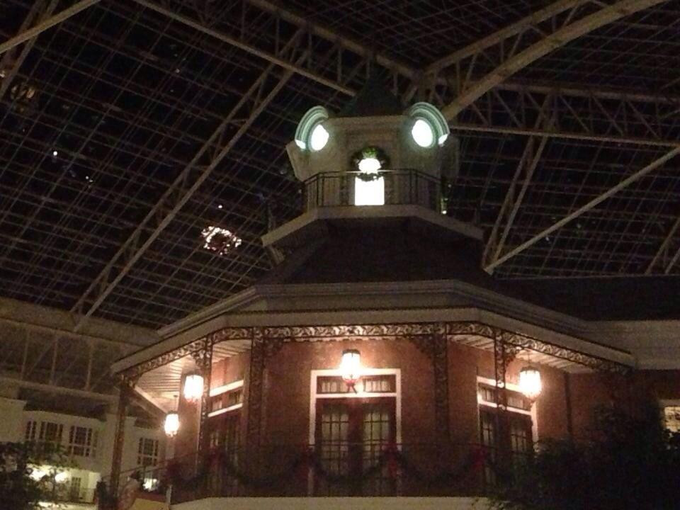 Gaylord Opryland Garden Conservatory-纳什维尔必去景点