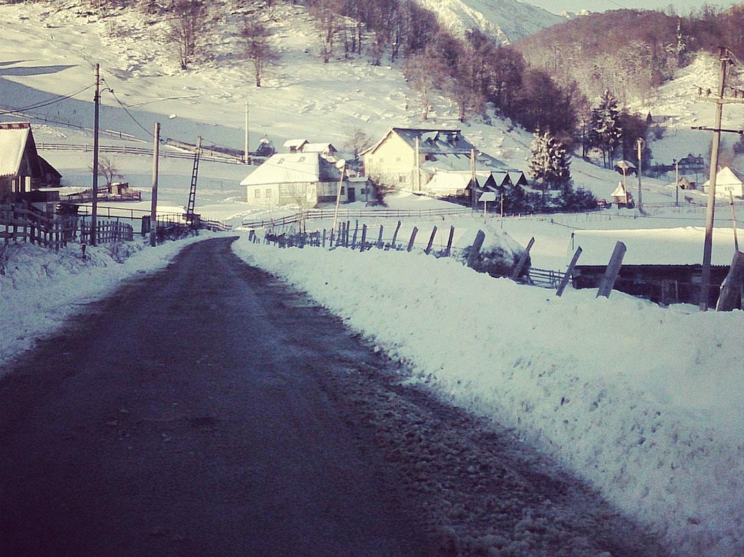 Pure Romania - Romania Tours景点图片
