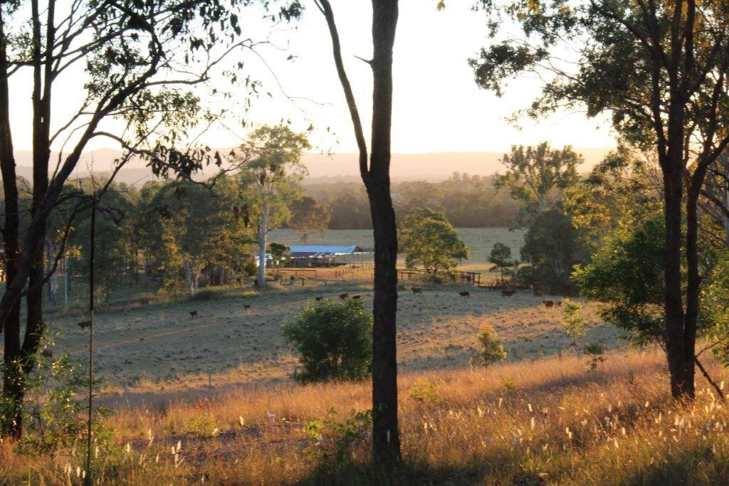 Honeybee Country Accommodation主图