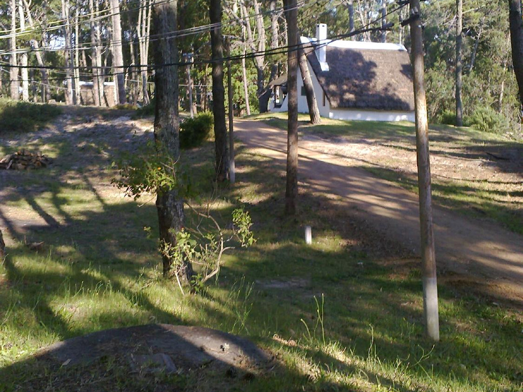 Parque Andresito Cabins