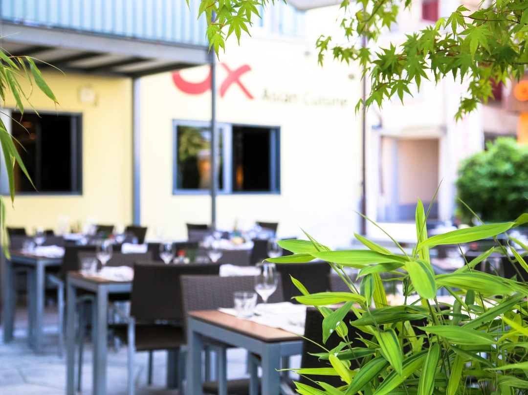 OX Asian Cuisine