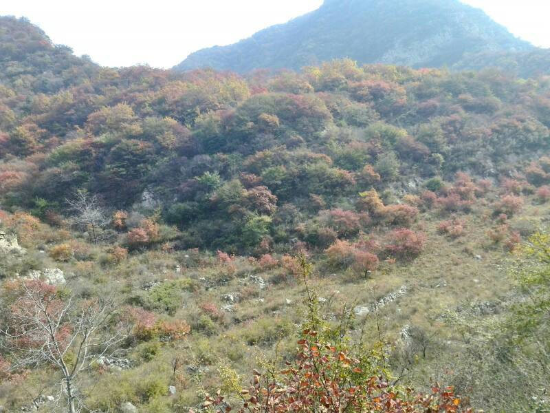 仙台山-井陉县必去景点
