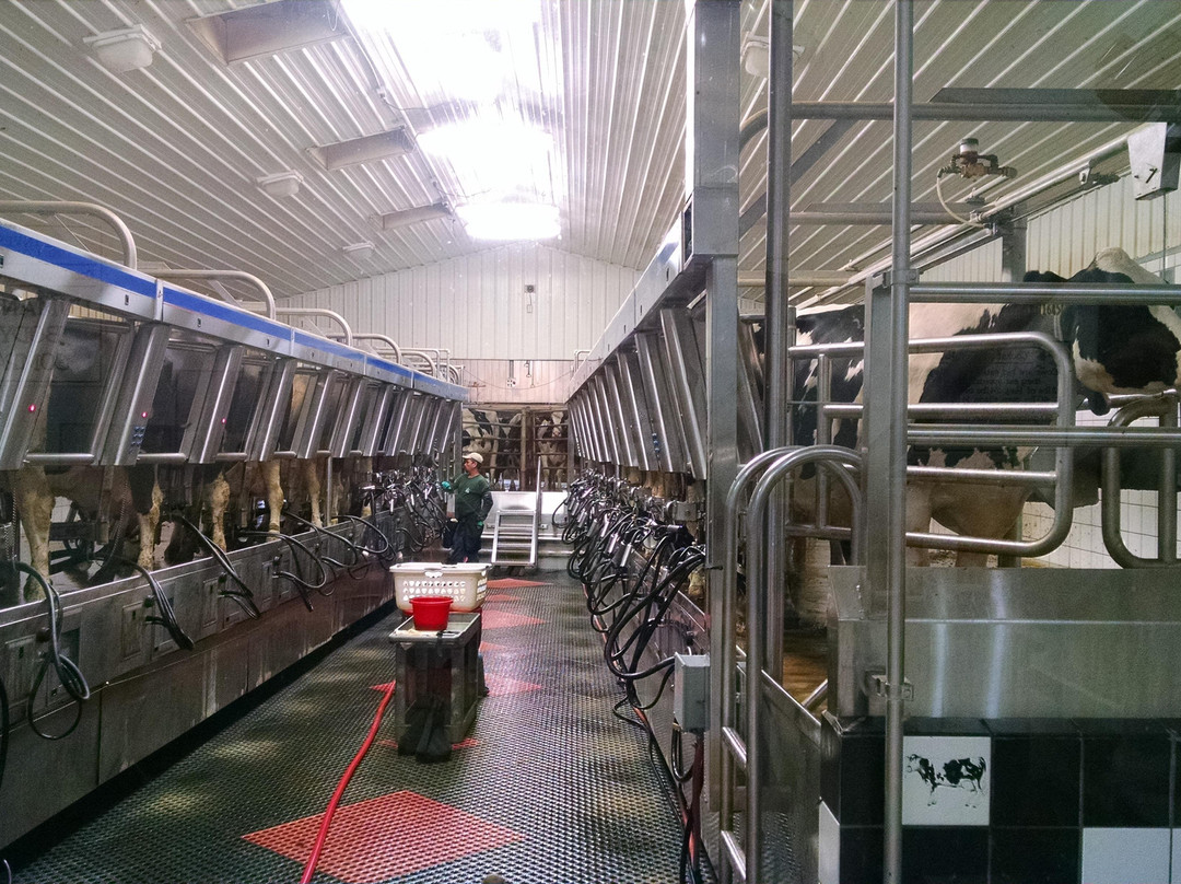 Schopf's Hilltop Dairy-斯特金贝必去景点