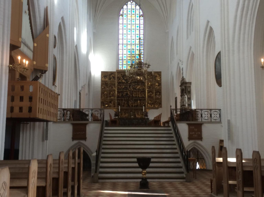 Odense Cathedral - Sct. Knuds Church-欧登塞必去景点