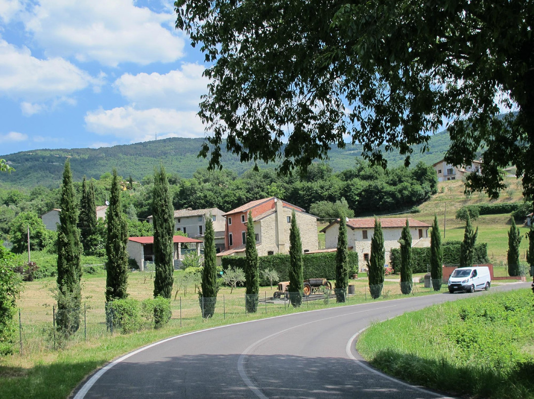 Castion Veronese酒店住宿-Agriturismo Val
