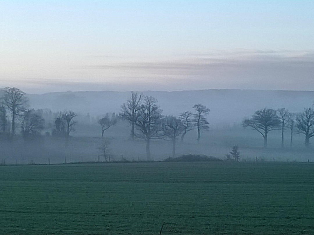 Saint-Pierre-de-Fursac旅游攻略图片