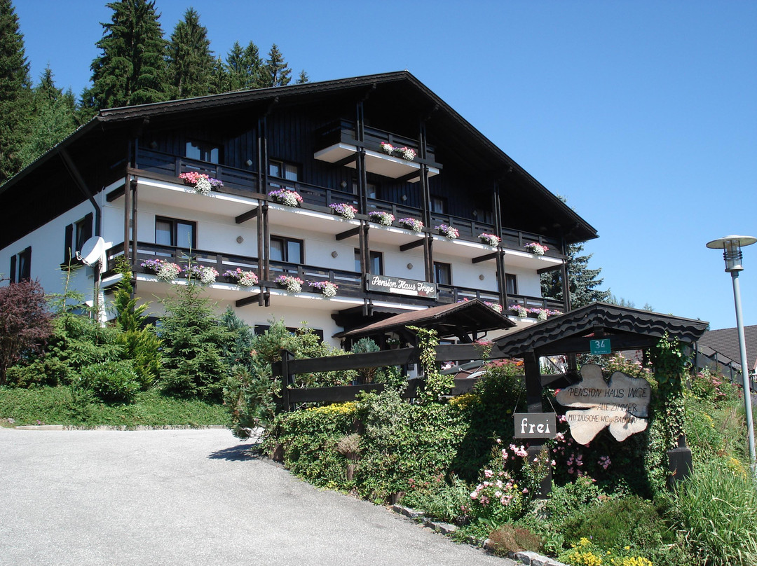 Rinchnach酒店住宿-Pension Haus Inge