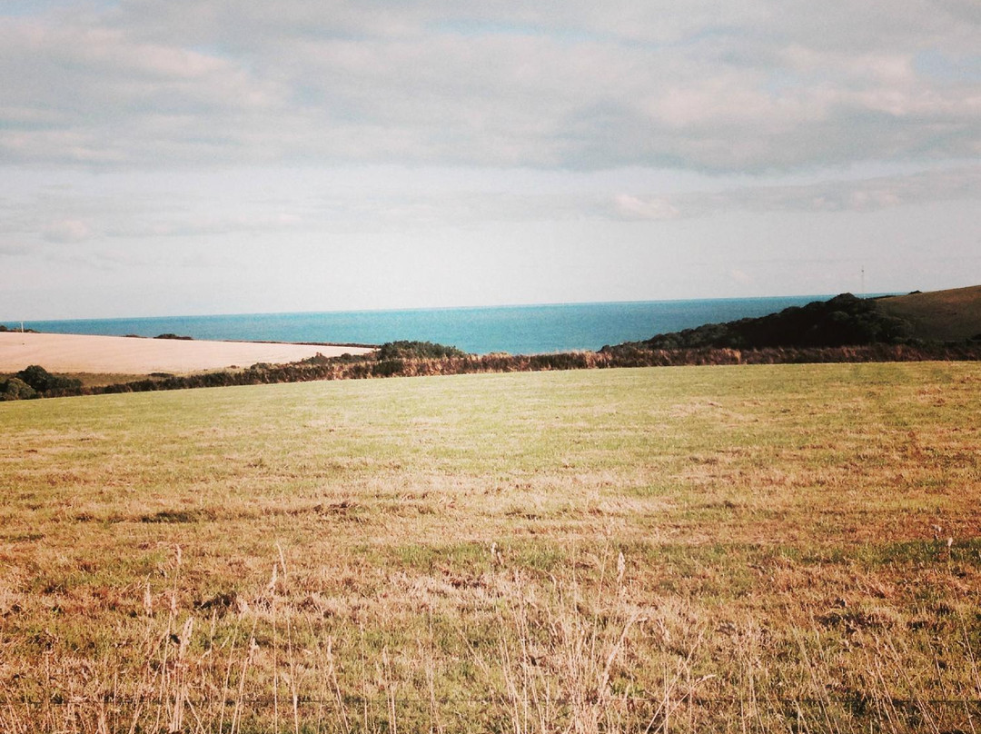 Great Kellow Farm