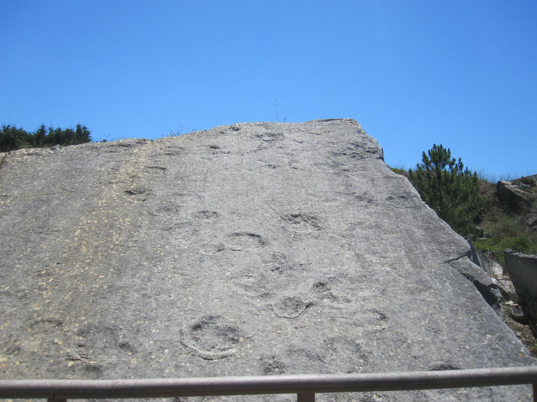 Monumento Natural da Pedreira do Avelino景点图片