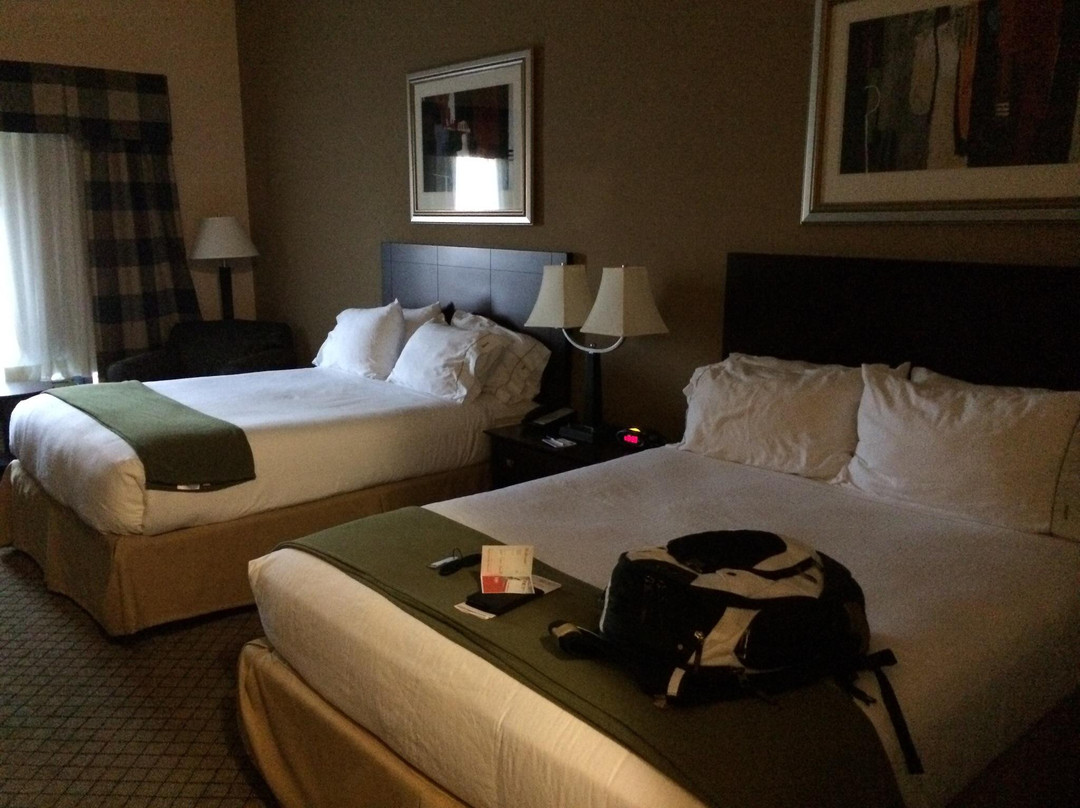 Hartwell酒店住宿-Holiday Inn Express & Suites Lavonia By IHG