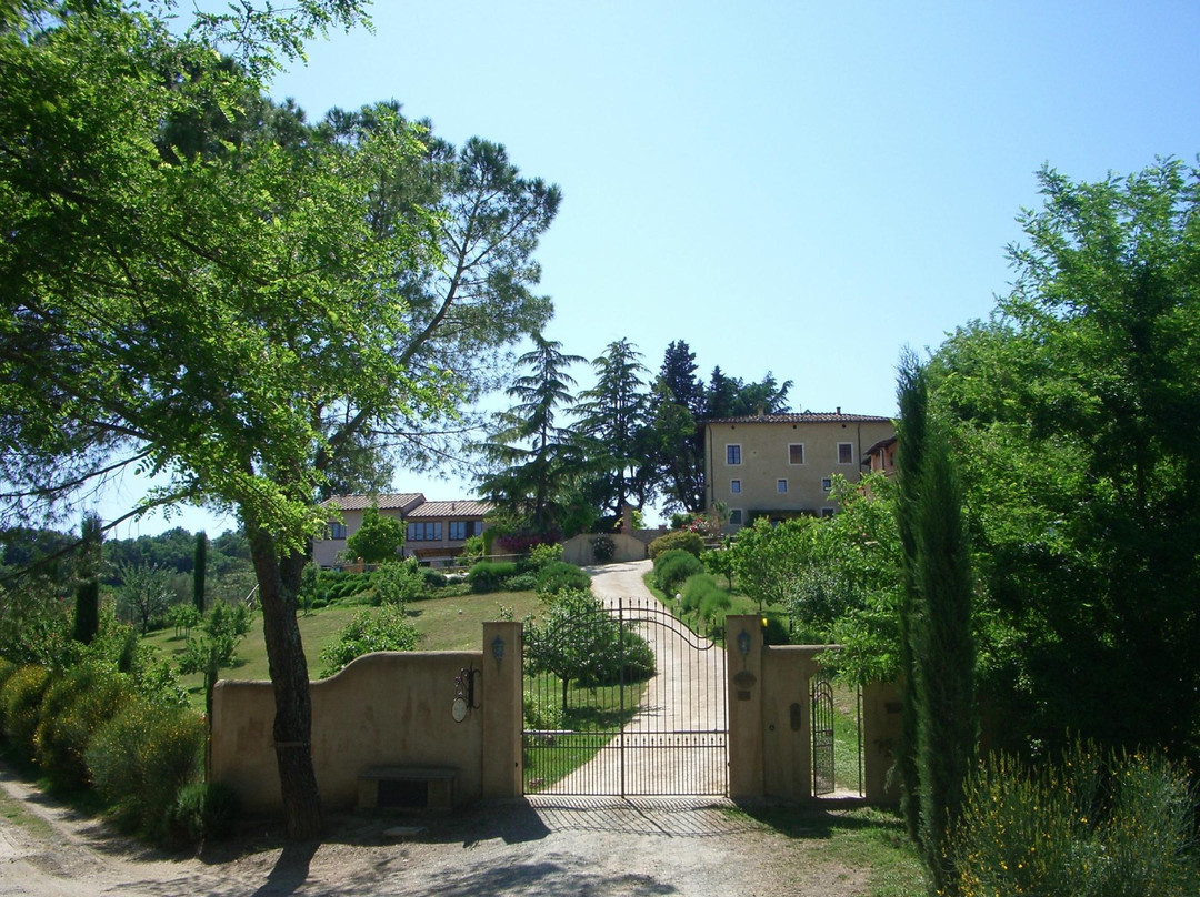Montecchio酒店住宿-Torraccia di Chiusi