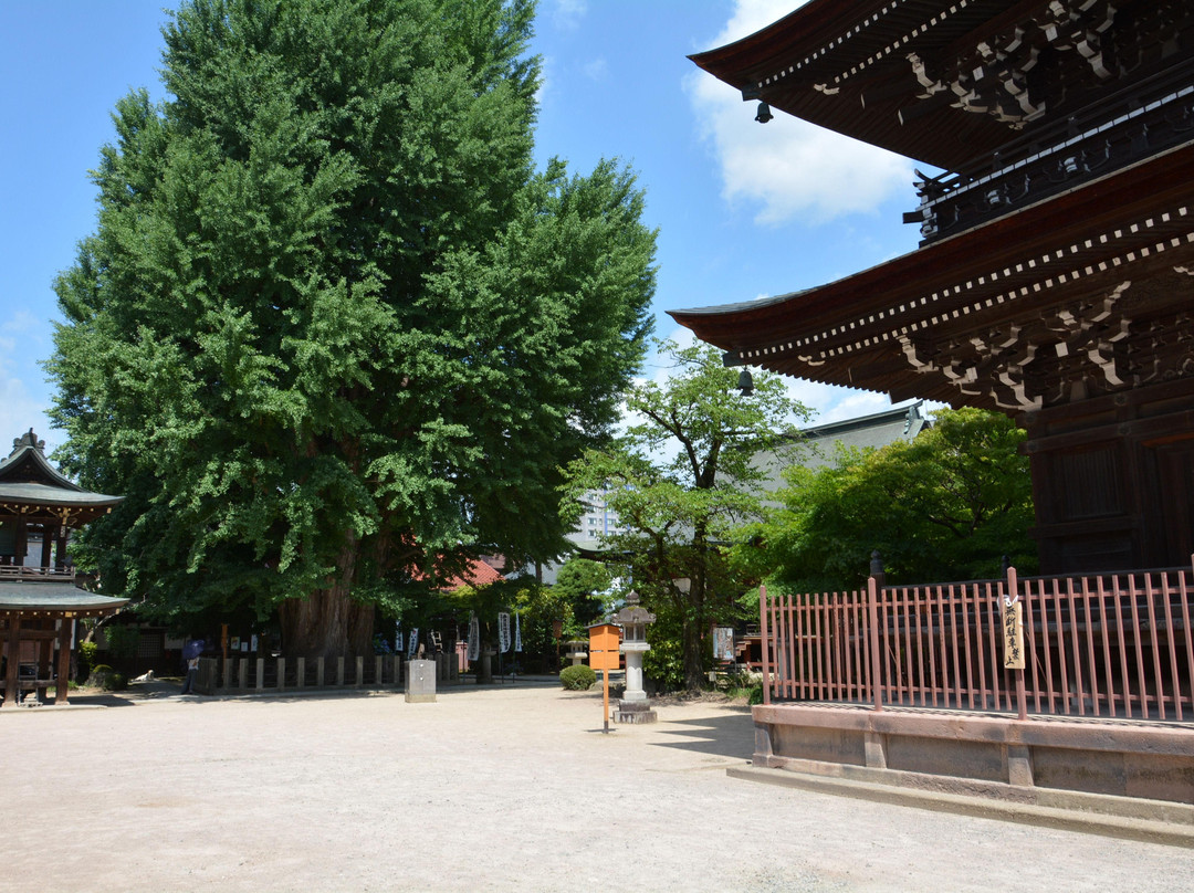 飞驒国分寺-高山市必去景点